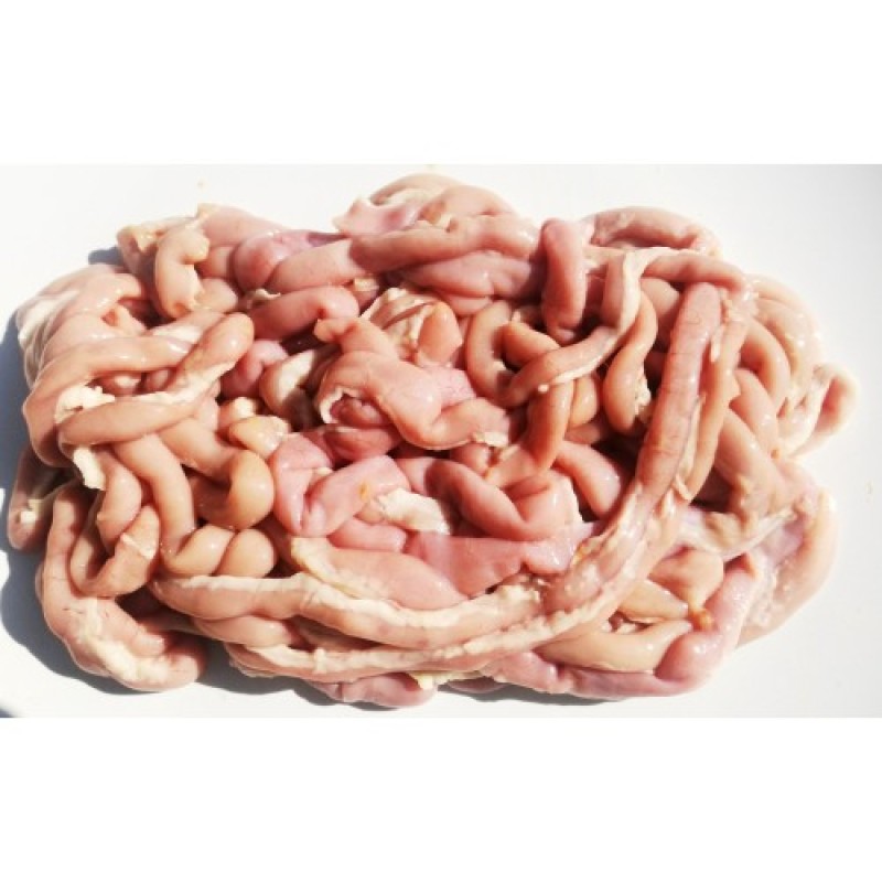 Chicken Large Intestine